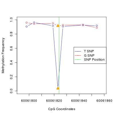 Allele Specific Methylation Frequency Diagram for chr20 60061824 SNP.