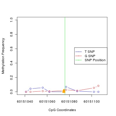 Allele Specific Methylation Frequency Diagram for chr20 60151076 SNP.