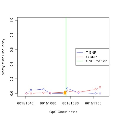 Allele Specific Methylation Frequency Diagram for chr20 60151076 SNP.