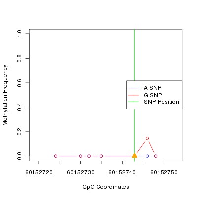 Allele Specific Methylation Frequency Diagram for chr20 60152743 SNP.