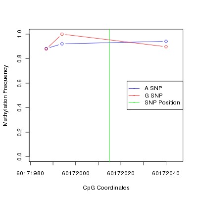 Allele Specific Methylation Frequency Diagram for chr20 60172015 SNP.