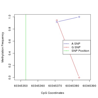 Allele Specific Methylation Frequency Diagram for chr20 60345353 SNP.