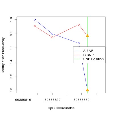 Allele Specific Methylation Frequency Diagram for chr20 60386832 SNP.