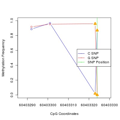 Allele Specific Methylation Frequency Diagram for chr20 60403324 SNP.