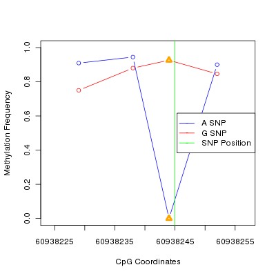 Allele Specific Methylation Frequency Diagram for chr20 60938245 SNP.