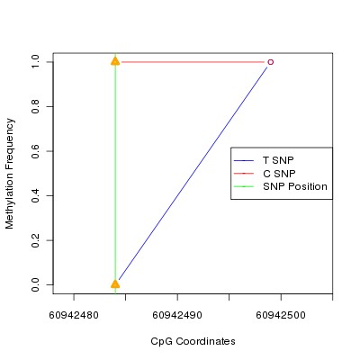 Allele Specific Methylation Frequency Diagram for chr20 60942484 SNP.