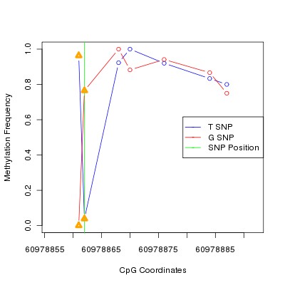 Allele Specific Methylation Frequency Diagram for chr20 60978862 SNP.