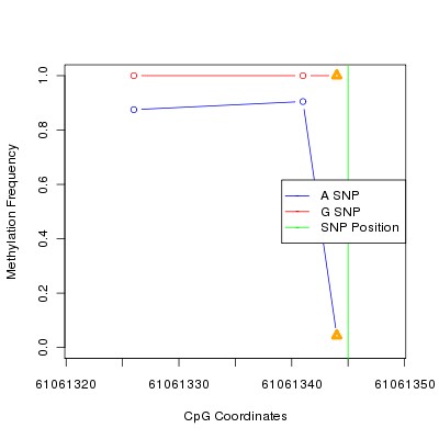 Allele Specific Methylation Frequency Diagram for chr20 61061345 SNP.