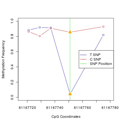 Allele Specific Methylation Frequency Diagram for chr20 61167751 SNP.