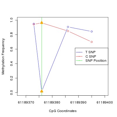Allele Specific Methylation Frequency Diagram for chr20 61189376 SNP.