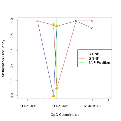 Allele Specific Methylation Frequency Diagram for chr20 61421934 SNP.