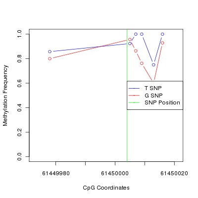 Allele Specific Methylation Frequency Diagram for chr20 61450004 SNP.
