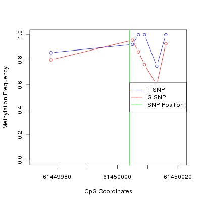 Allele Specific Methylation Frequency Diagram for chr20 61450004 SNP.