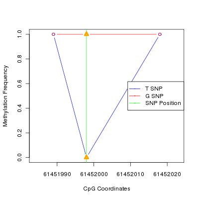 Allele Specific Methylation Frequency Diagram for chr20 61451998 SNP.