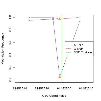 Allele Specific Methylation Frequency Diagram for chr20 61452529 SNP.