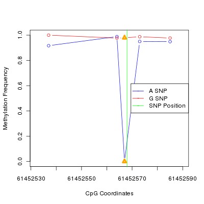 Allele Specific Methylation Frequency Diagram for chr20 61452568 SNP.