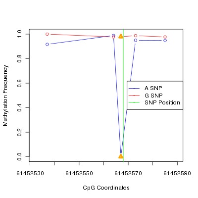 Allele Specific Methylation Frequency Diagram for chr20 61452568 SNP.