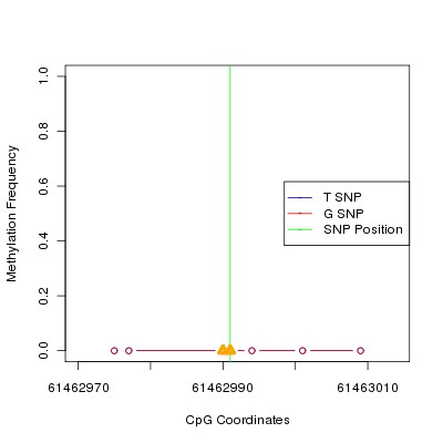 Allele Specific Methylation Frequency Diagram for chr20 61462991 SNP.