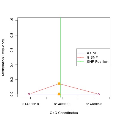 Allele Specific Methylation Frequency Diagram for chr20 61463829 SNP.