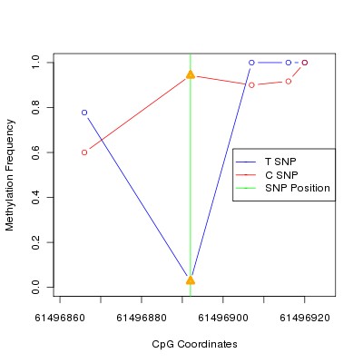 Allele Specific Methylation Frequency Diagram for chr20 61496892 SNP.