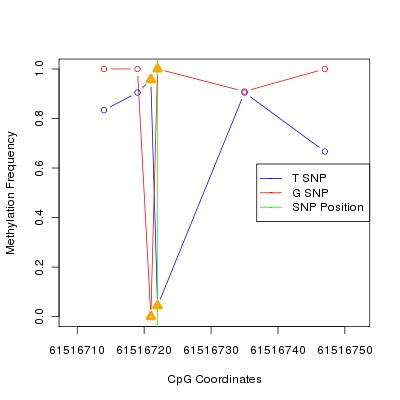 Allele Specific Methylation Frequency Diagram for chr20 61516722 SNP.