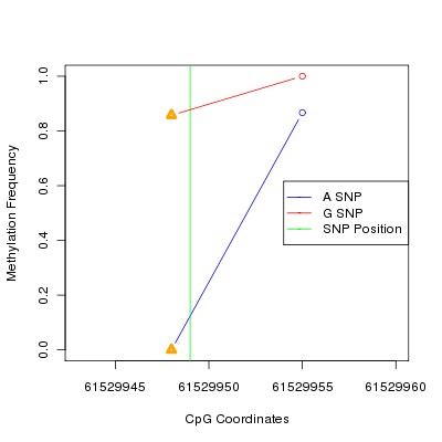 Allele Specific Methylation Frequency Diagram for chr20 61529949 SNP.