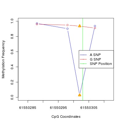 Allele Specific Methylation Frequency Diagram for chr20 61550303 SNP.