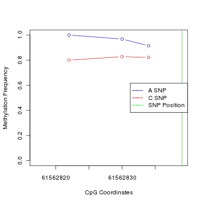 Allele Specific Methylation Frequency Diagram for chr20 61562839 SNP.