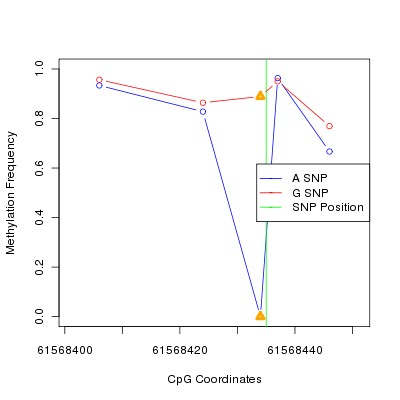 Allele Specific Methylation Frequency Diagram for chr20 61568435 SNP.