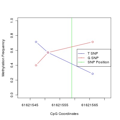 Allele Specific Methylation Frequency Diagram for chr20 61621559 SNP.