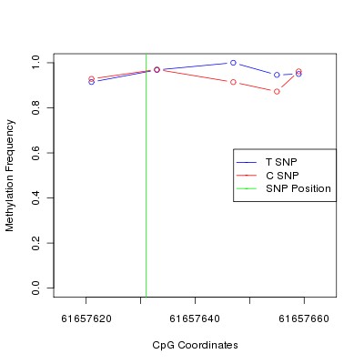 Allele Specific Methylation Frequency Diagram for chr20 61657631 SNP.