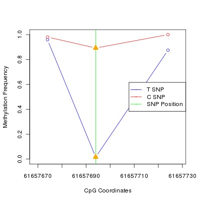 Allele Specific Methylation Frequency Diagram for chr20 61657694 SNP.