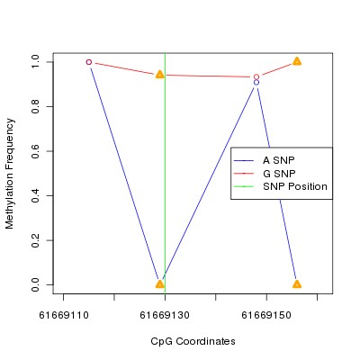 Allele Specific Methylation Frequency Diagram for chr20 61669130 SNP.