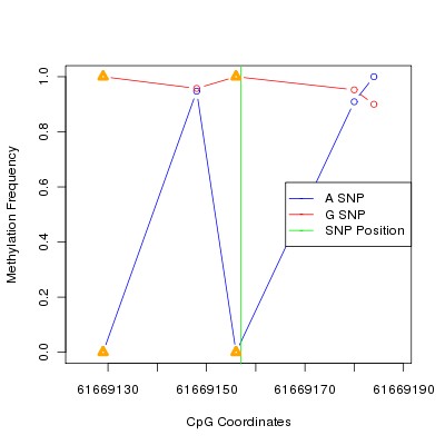 Allele Specific Methylation Frequency Diagram for chr20 61669157 SNP.