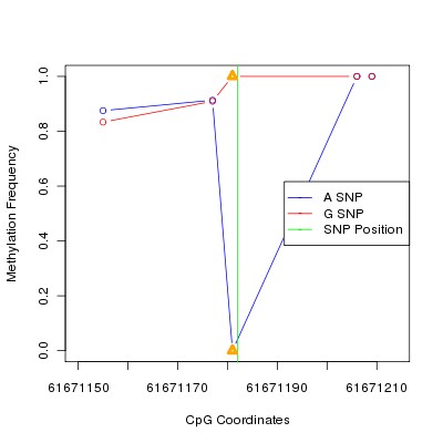 Allele Specific Methylation Frequency Diagram for chr20 61671182 SNP.