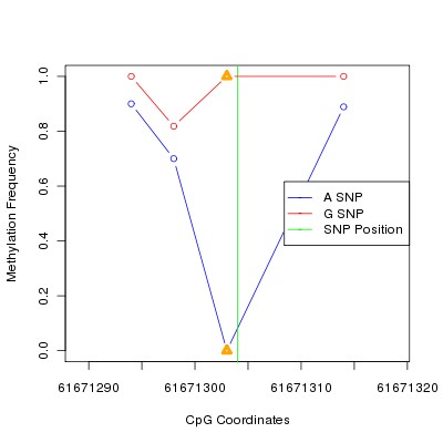 Allele Specific Methylation Frequency Diagram for chr20 61671304 SNP.