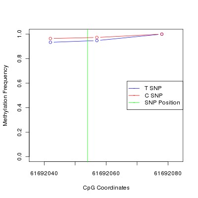 Allele Specific Methylation Frequency Diagram for chr20 61692054 SNP.