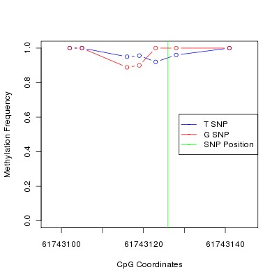 Allele Specific Methylation Frequency Diagram for chr20 61743126 SNP.