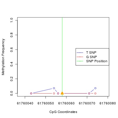 Allele Specific Methylation Frequency Diagram for chr20 61760058 SNP.