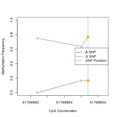 Allele Specific Methylation Frequency Diagram for chr20 61798897 SNP.