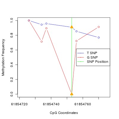 Allele Specific Methylation Frequency Diagram for chr20 61854753 SNP.