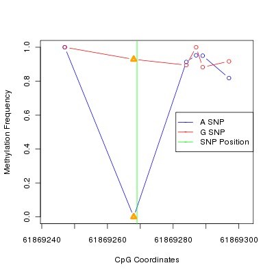 Allele Specific Methylation Frequency Diagram for chr20 61869269 SNP.