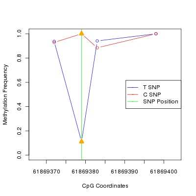 Allele Specific Methylation Frequency Diagram for chr20 61869379 SNP.