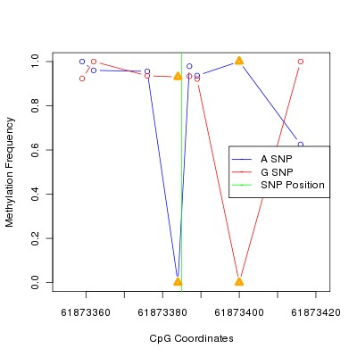 Allele Specific Methylation Frequency Diagram for chr20 61873385 SNP.