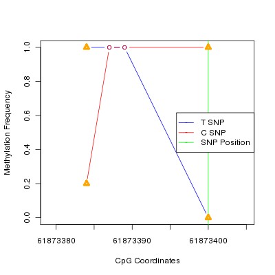 Allele Specific Methylation Frequency Diagram for chr20 61873400 SNP.