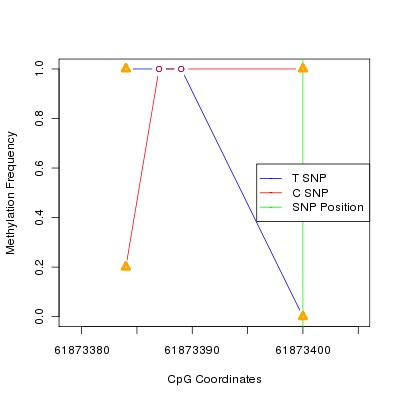Allele Specific Methylation Frequency Diagram for chr20 61873400 SNP.