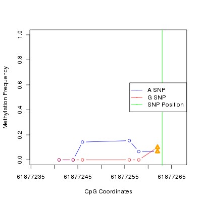 Allele Specific Methylation Frequency Diagram for chr20 61877263 SNP.