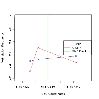 Allele Specific Methylation Frequency Diagram for chr20 61877330 SNP.