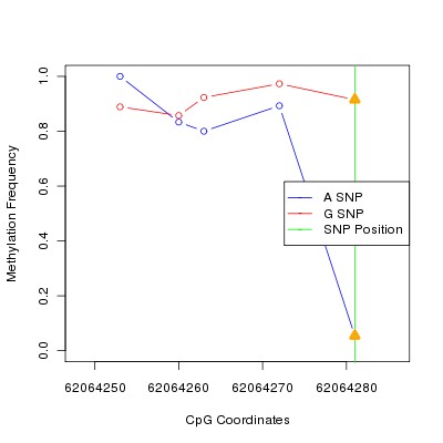 Allele Specific Methylation Frequency Diagram for chr20 62064281 SNP.