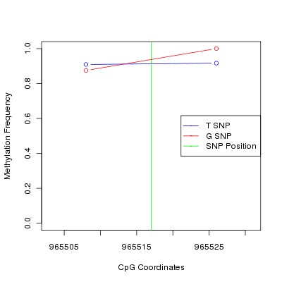 Allele Specific Methylation Frequency Diagram for chr20 965517 SNP.